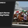 taday's horce racing fields