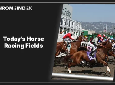 taday's horce racing fields