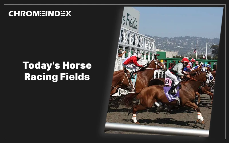 taday's horce racing fields