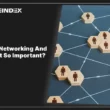 what is networking and why is it so important?