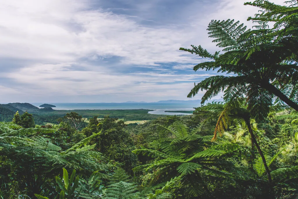 The Daintree Rainforest, Queensland