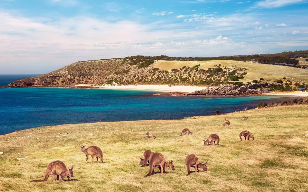 Kangaroo Island, South Australia
