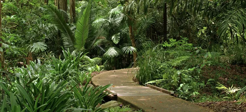 Australian National Botanic Gardens